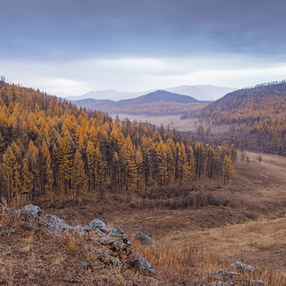 Khan Khentii - Autumn colors